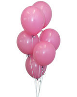 vozdushnyy-shar-s-pudrovyy-pastel-12-image-1