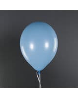 512-pastel-goluboy-12-image-1