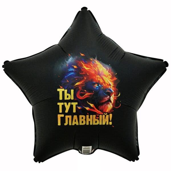 Звезда ВЗ «ТЫ ТУТ ГЛАВНЫЙ Лев»