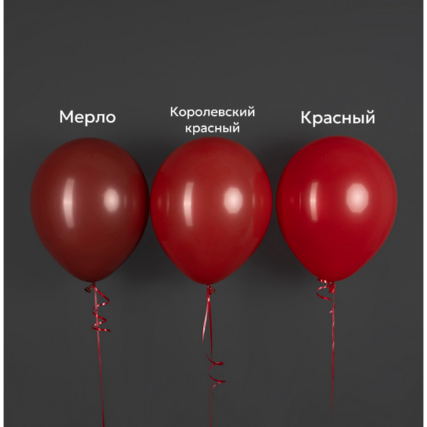S «Пастель Мерло» 12″